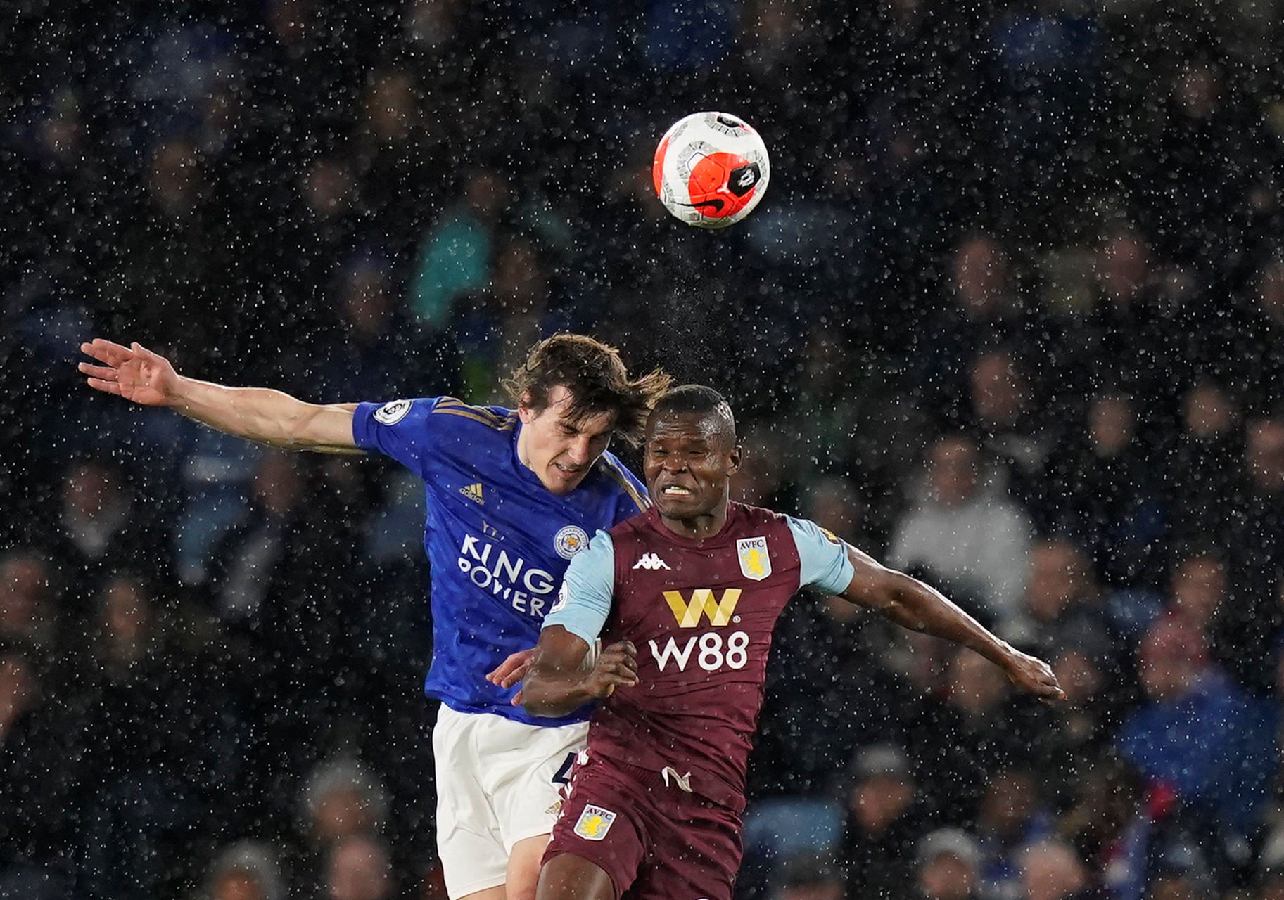 他们不仅能 他们不仅能