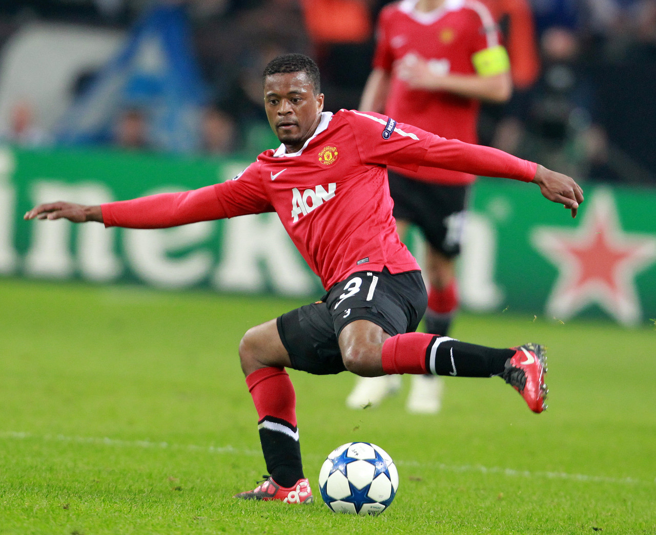 陈的主要因 陈的主要因