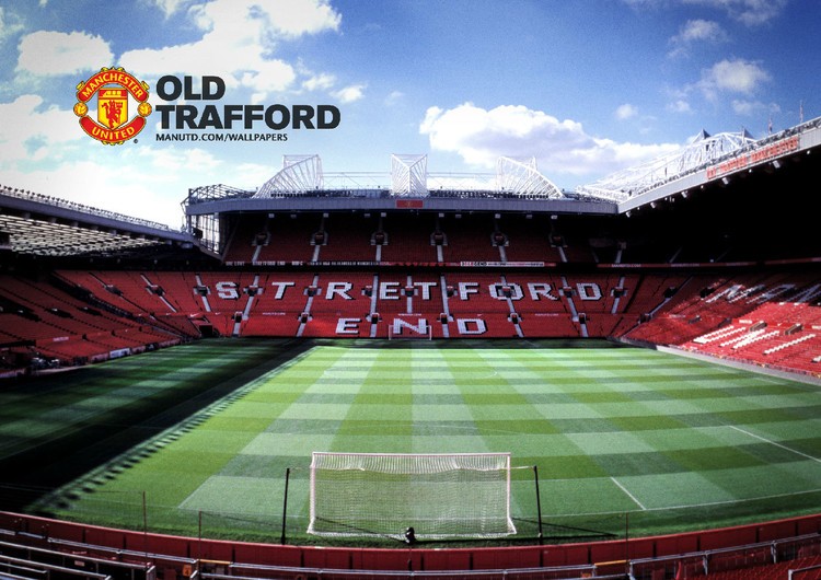 迷们拜年 迷们拜年